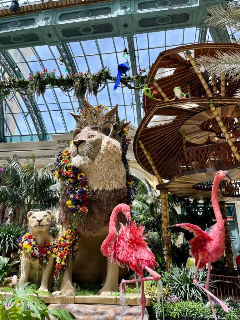 in Las Vegas